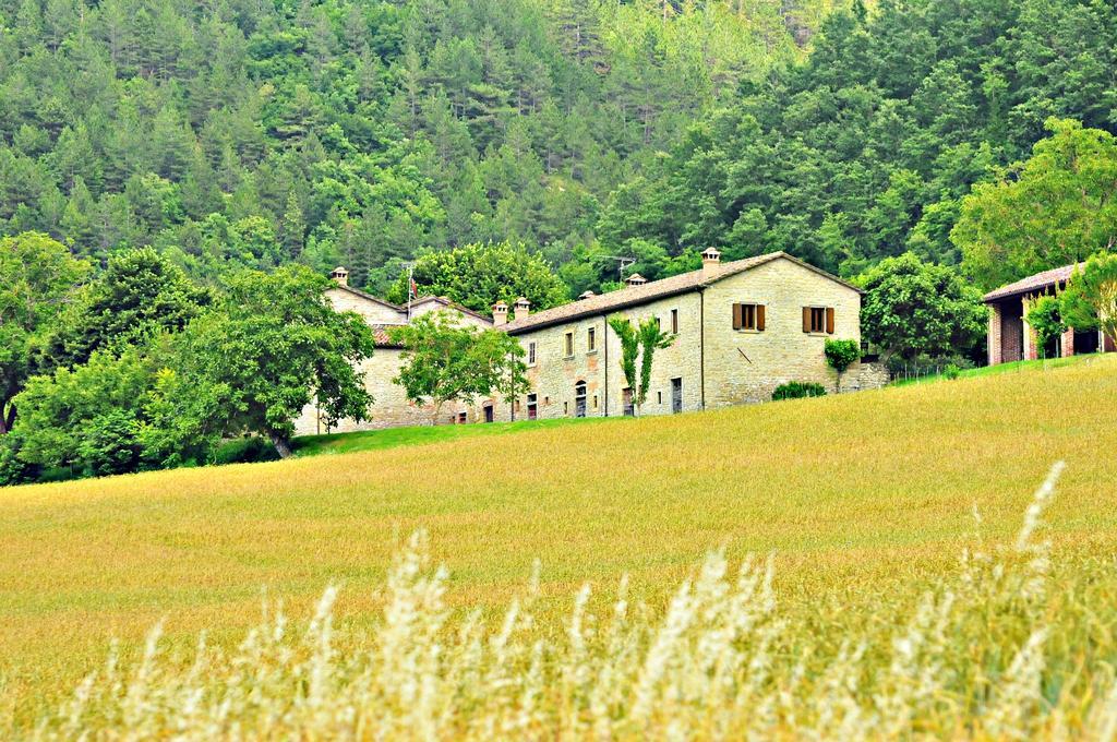 Agriturismo Popolano Di Sotto Marradi Eksteriør bilde
