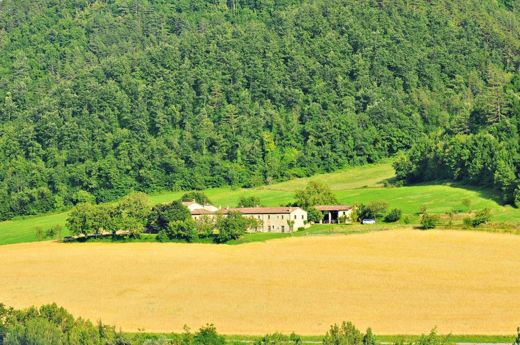 Agriturismo Popolano Di Sotto Marradi Eksteriør bilde