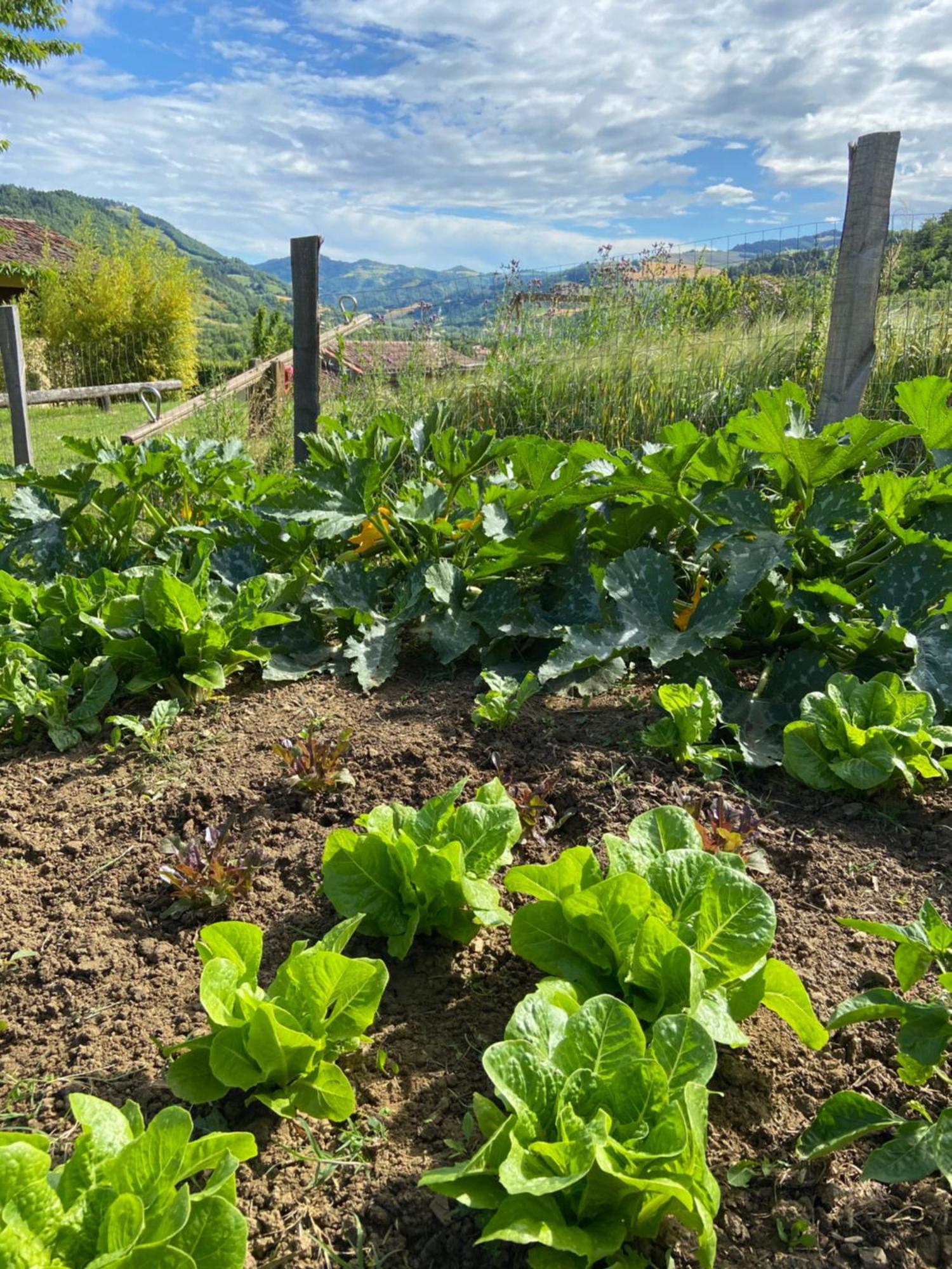 Agriturismo Popolano Di Sotto Marradi Eksteriør bilde