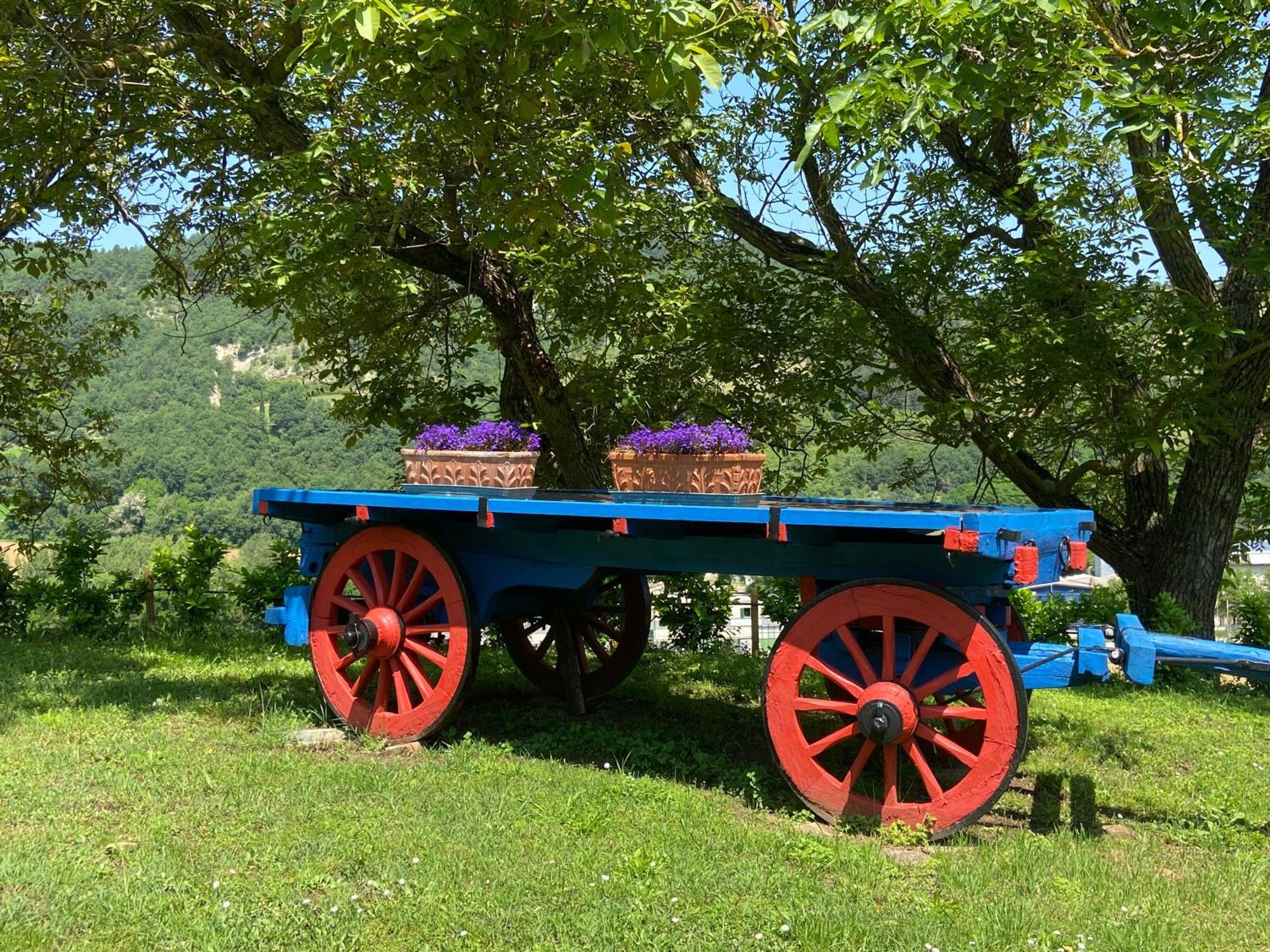 Agriturismo Popolano Di Sotto Marradi Eksteriør bilde