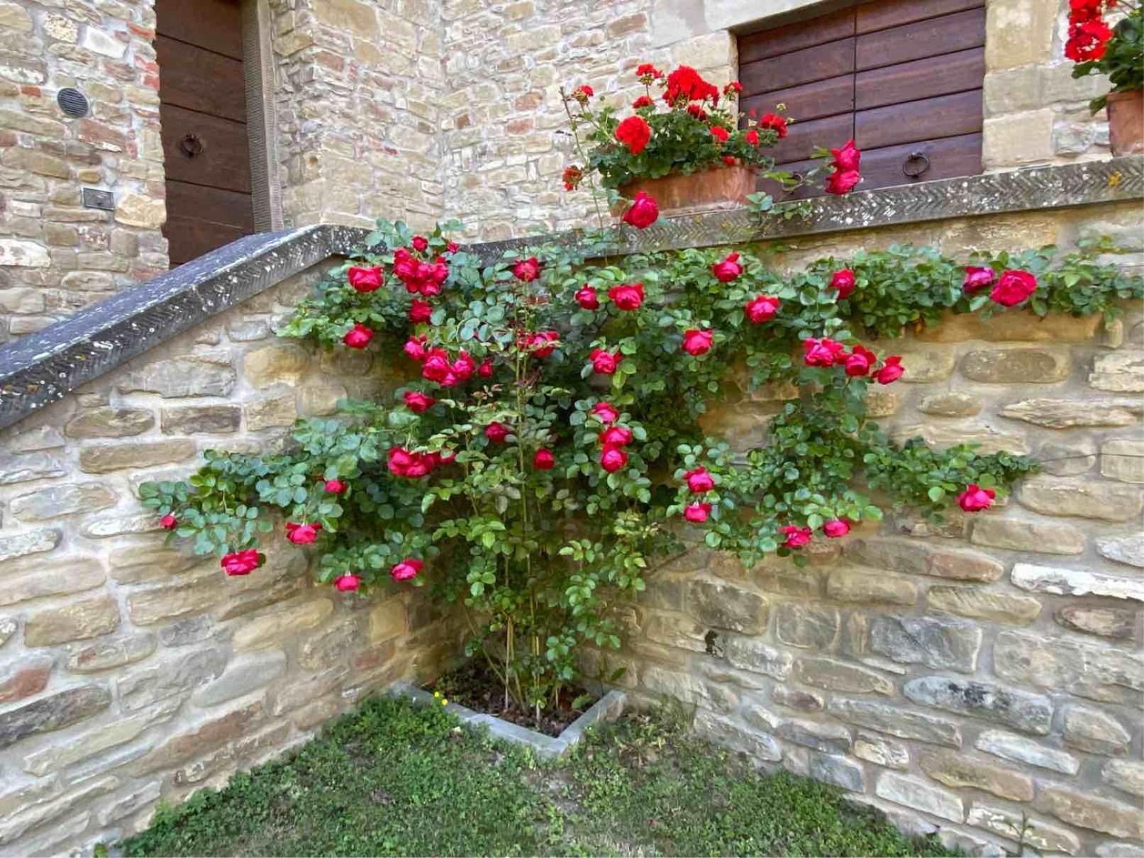 Agriturismo Popolano Di Sotto Marradi Eksteriør bilde