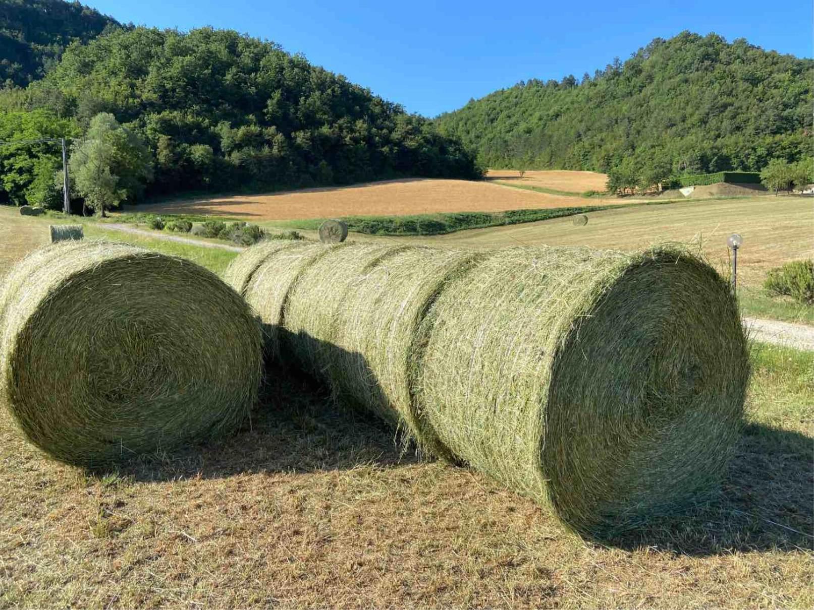 Agriturismo Popolano Di Sotto Marradi Eksteriør bilde