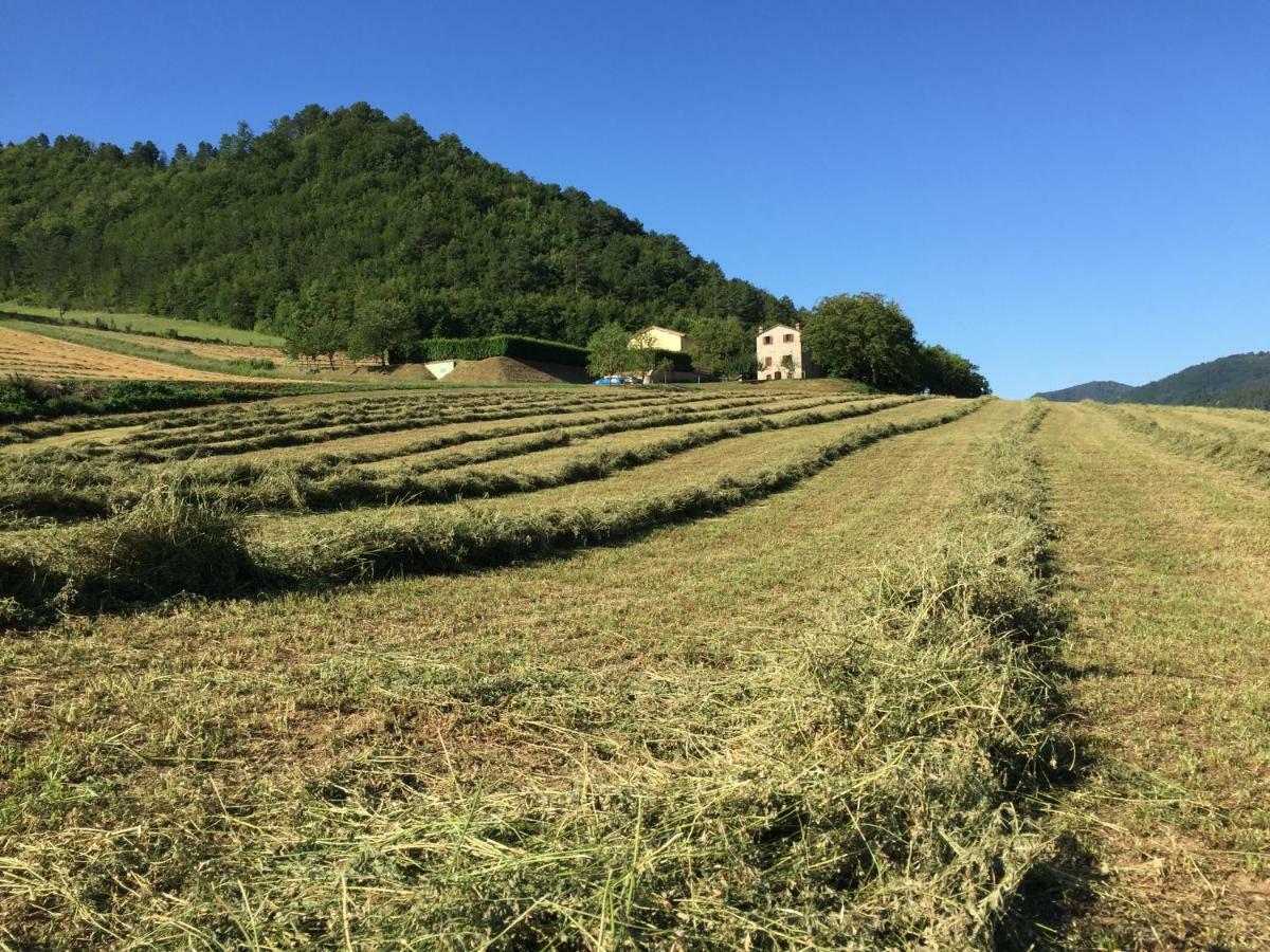 Agriturismo Popolano Di Sotto Marradi Eksteriør bilde